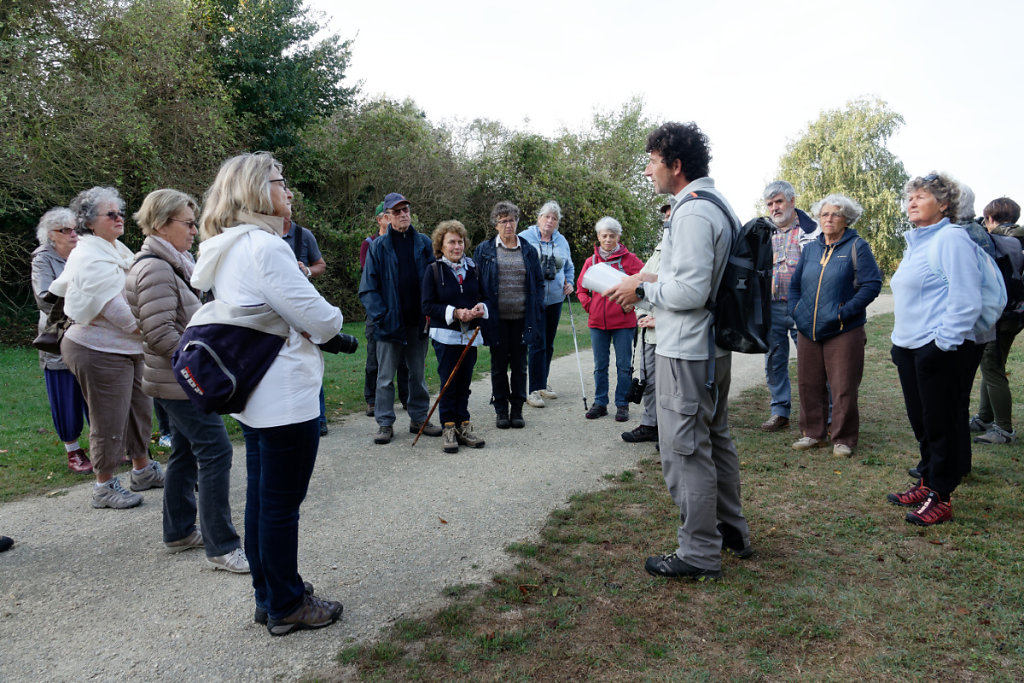 La Réserve Naturelle Régionale de la Massonne
