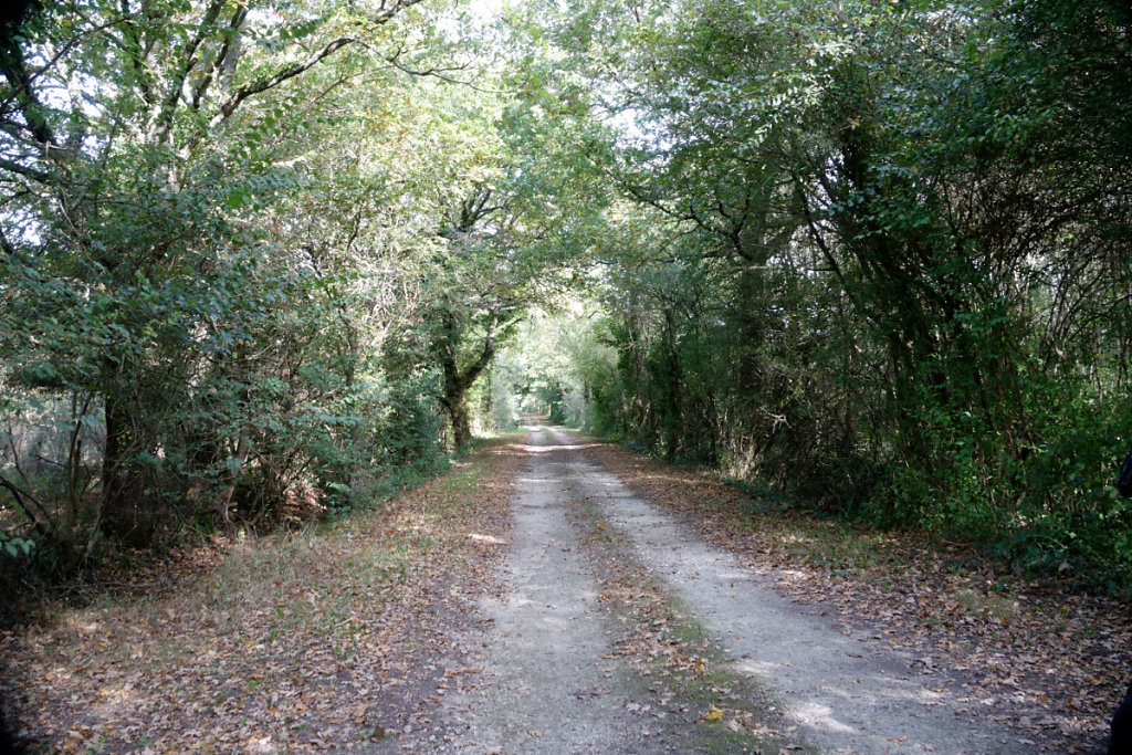 le GR traverse la Réserve.