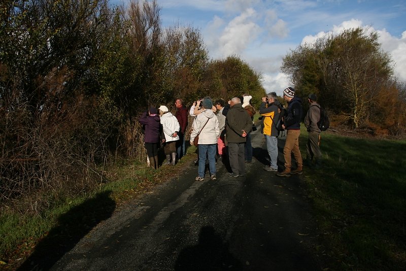 notre groupe attentif aux explications de Nathalie notre guide LPO