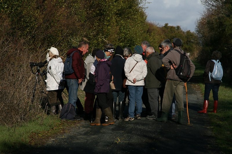 la longue vuepour observer de près