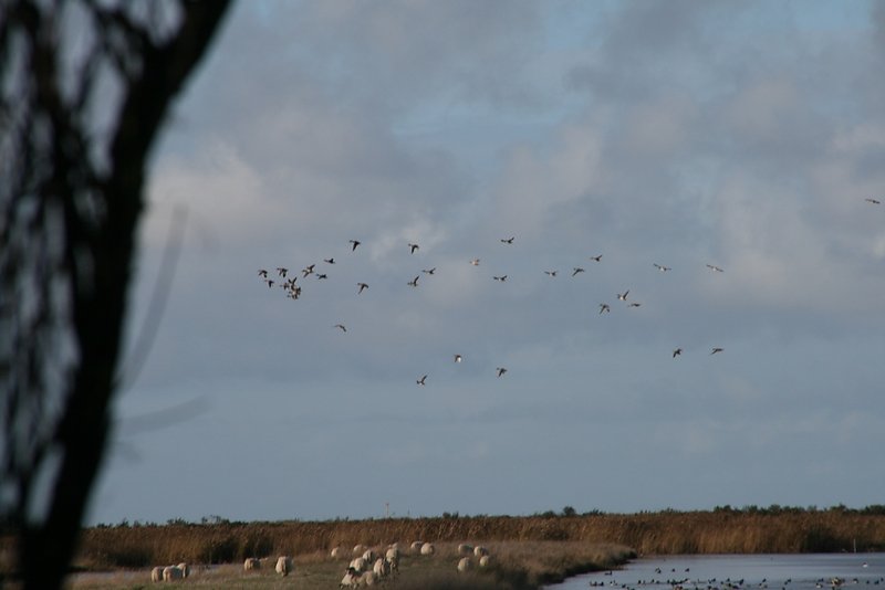 une chance : beau temps