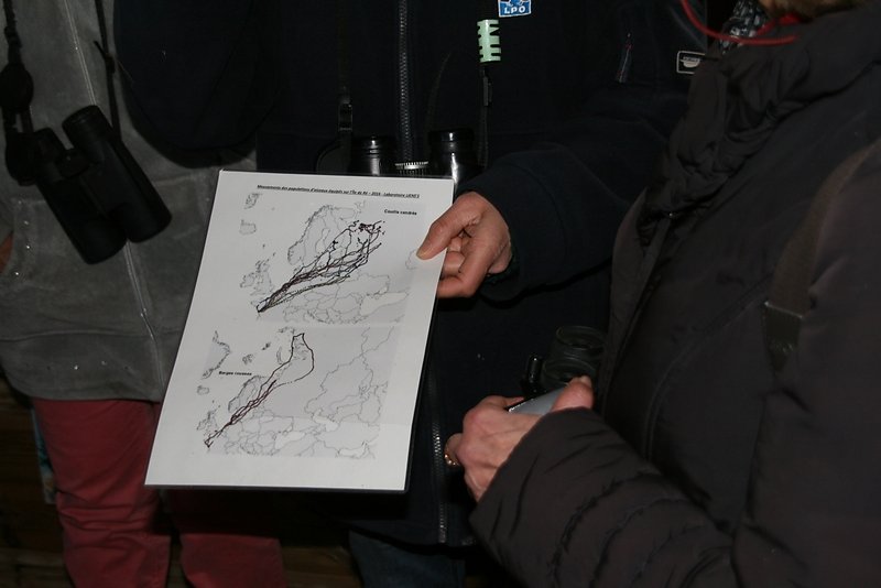 les chemins de la migration