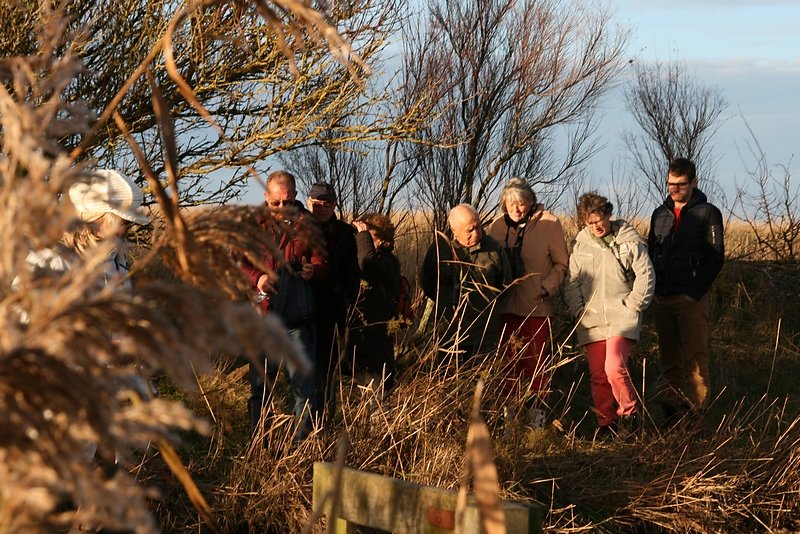 retour sur les bosses