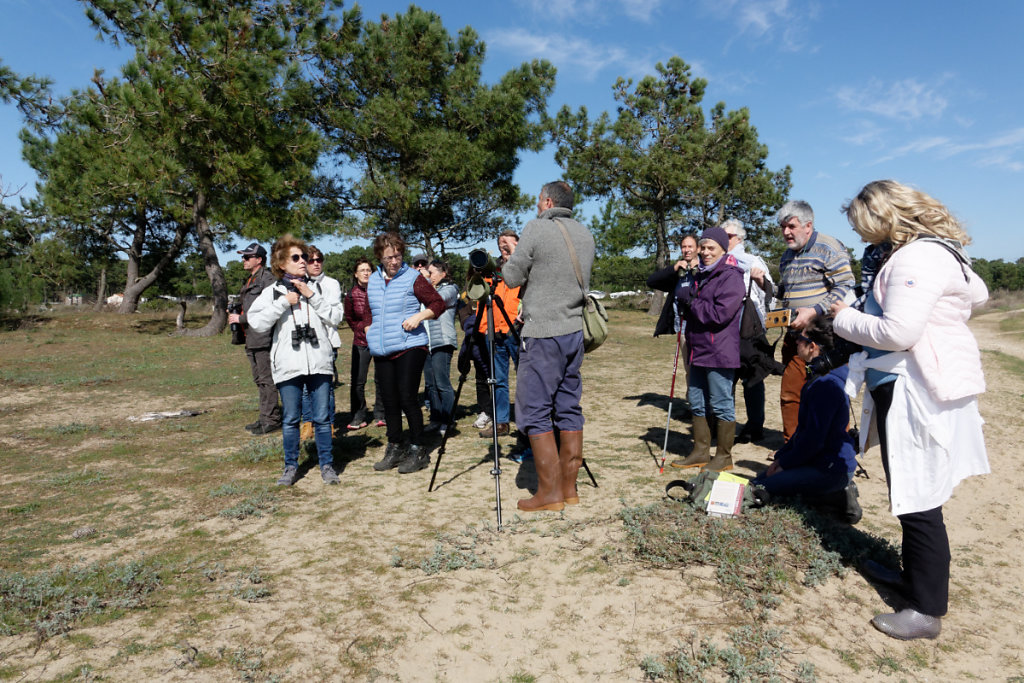 Explications sur la vie des oiseaux hivernants