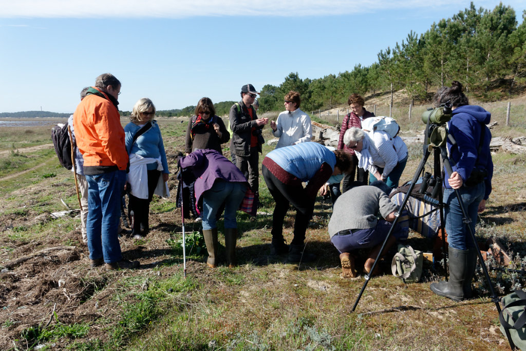 Observation au plus près