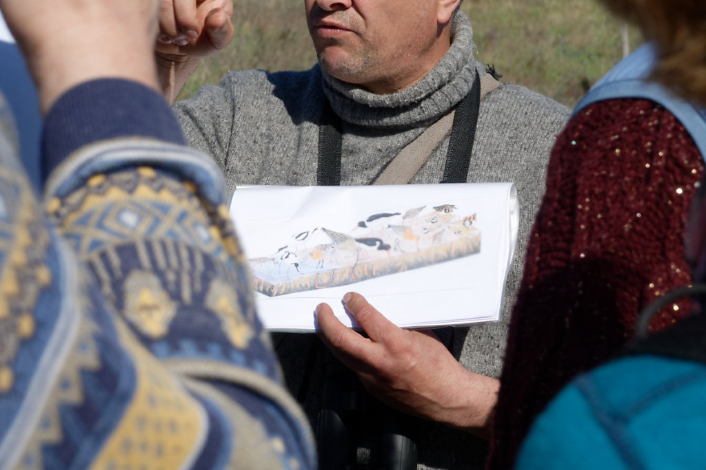 Analyse de la dune en 3D