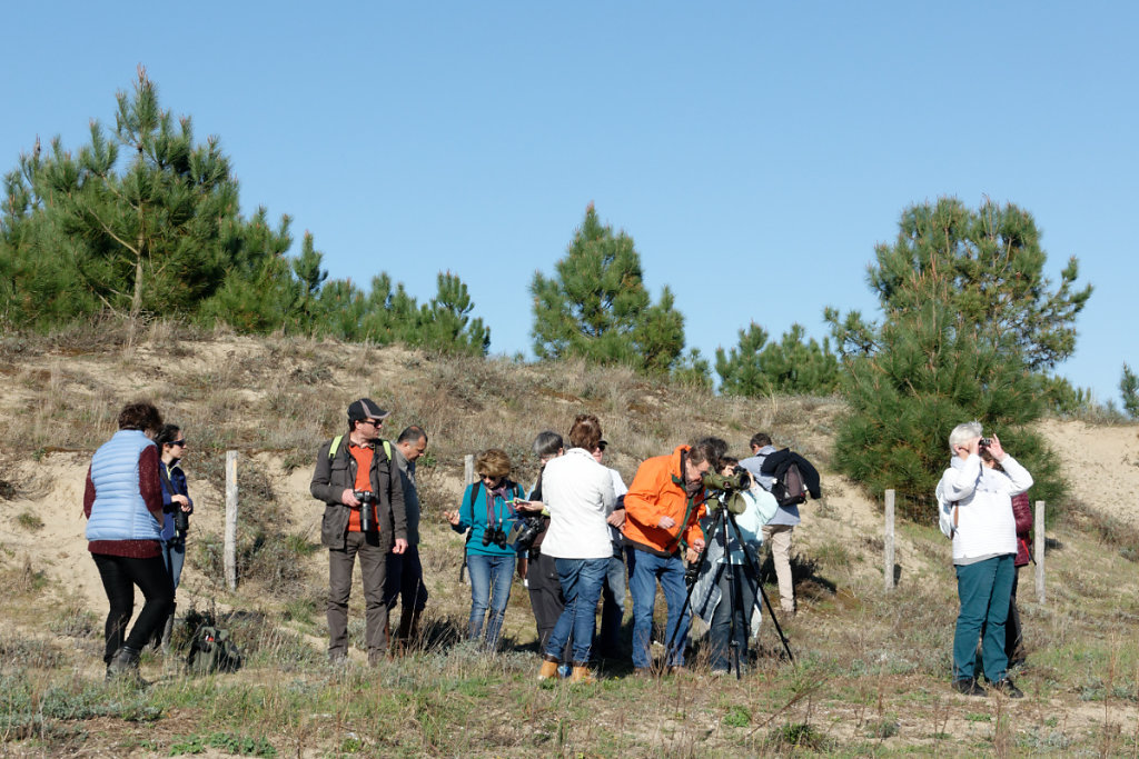 La lunette d'observation, un accessoire indispensable