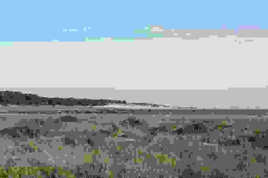 La vasière se découvre derrière les pré-salés