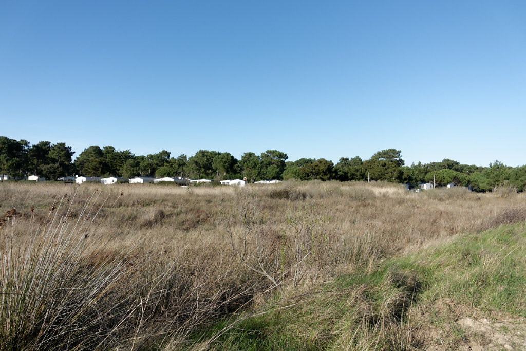 Les locataires de l'ONF