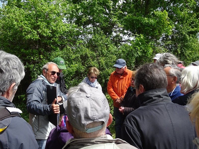 des images explicatives