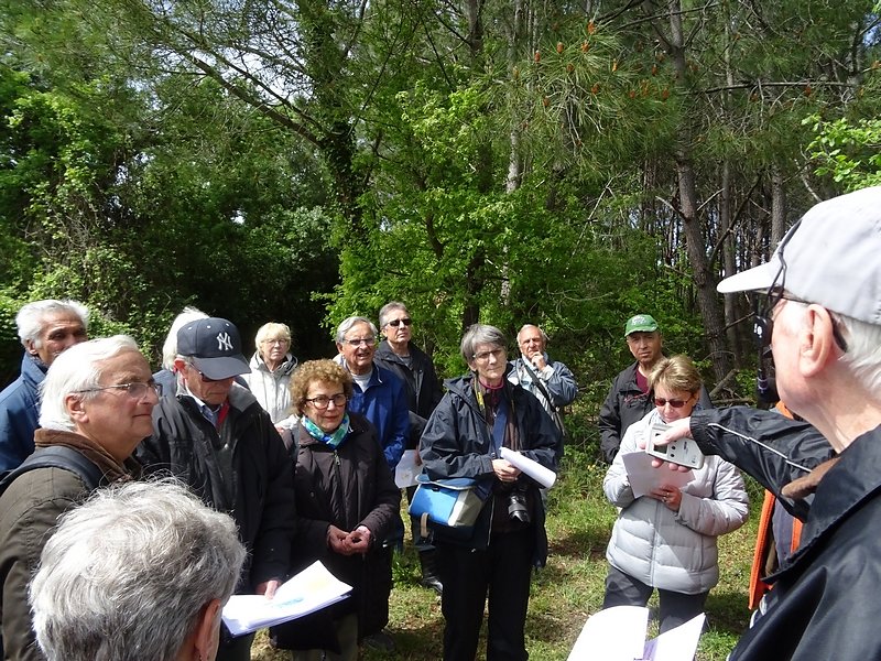 composition des sols