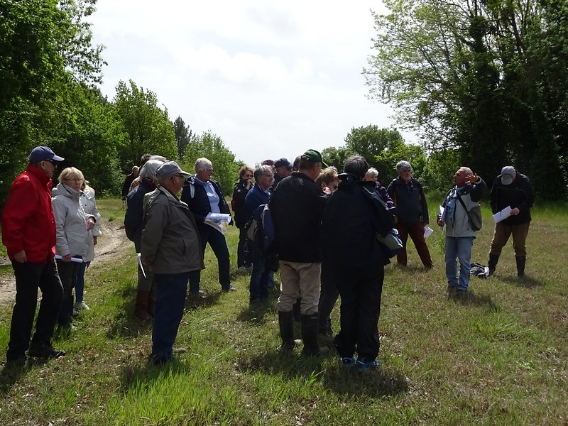 approchons les bords abrupts des marais