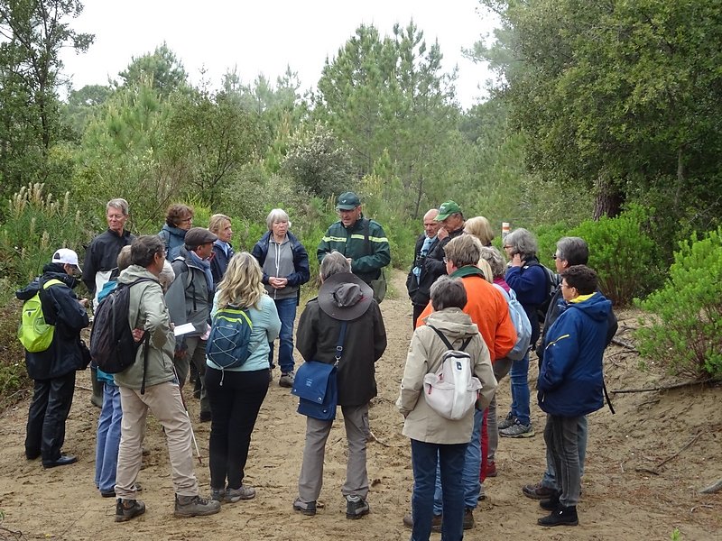 Laurent rappelle les ations des dunes engraissement et érosion