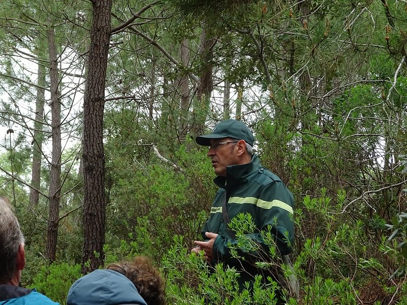 notre guide, la forêt il connaît
