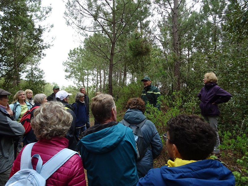 des questions, des réponses pertinentes