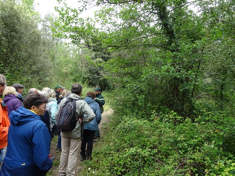 changement de paysage zone humide orme