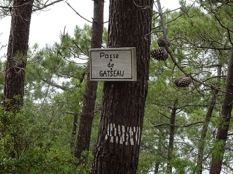 identification des parcelles