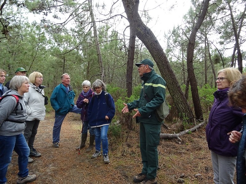 sauver les terriers de lapins