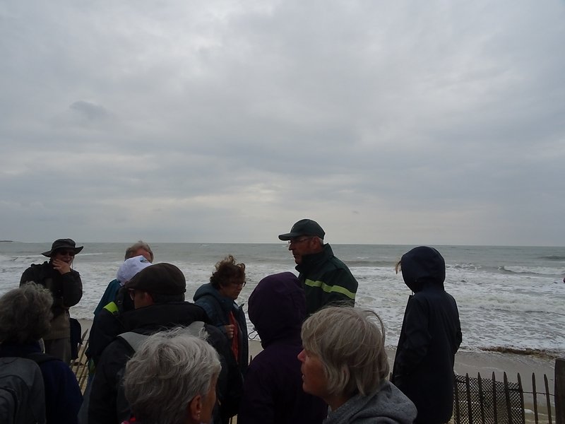 rôle des ganivelles