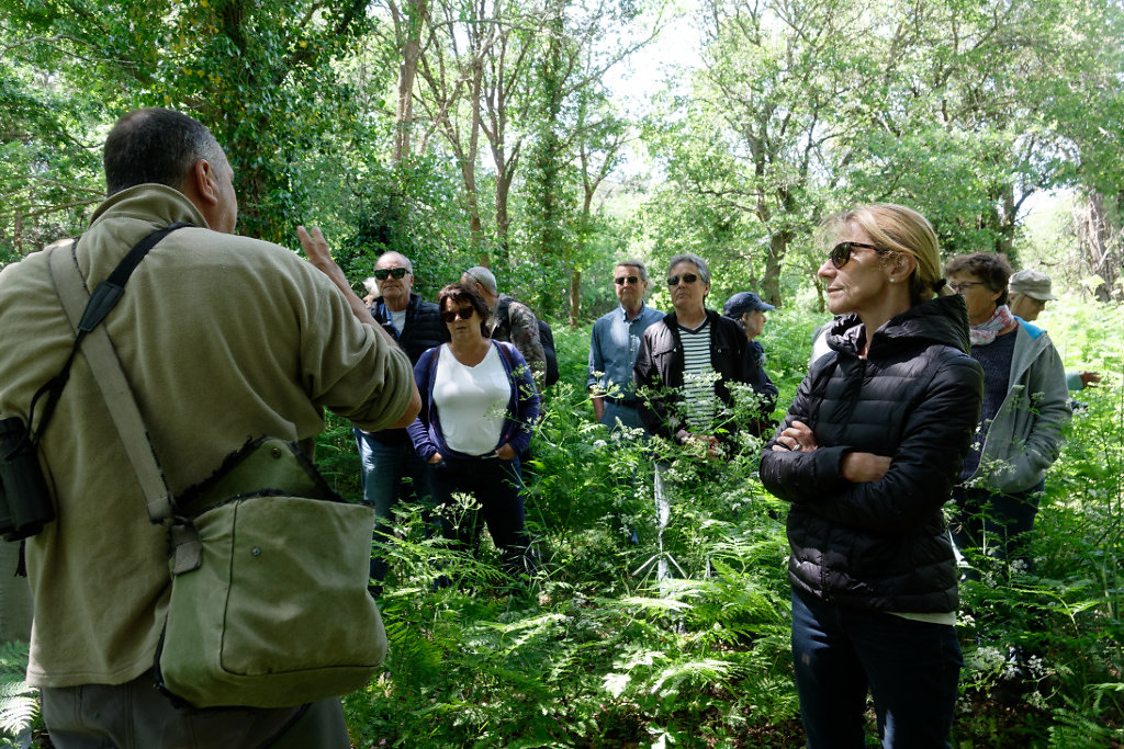 On s'enfonce dans la forêt