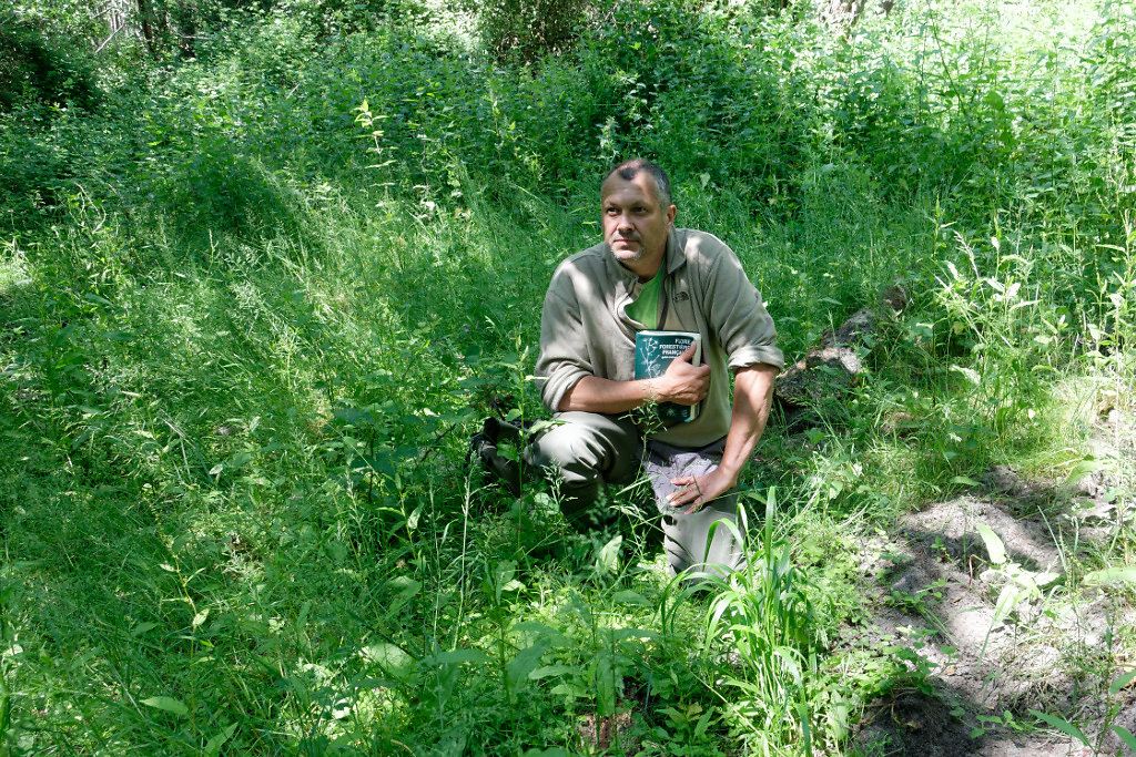 Jean-Marc a remarqué une petite plante spécifique