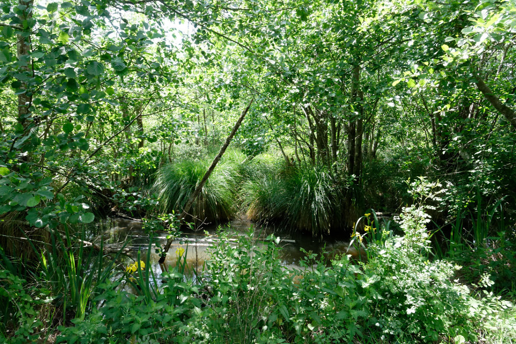 Sommes nous toujours en 17 ?