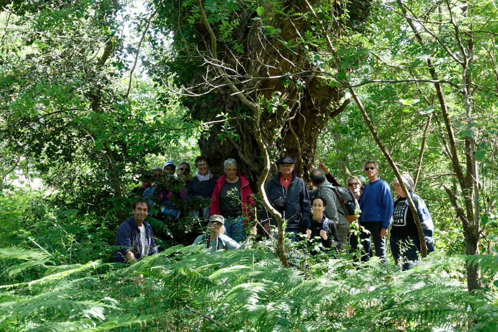 Le groupe fait cercle autour du tronc