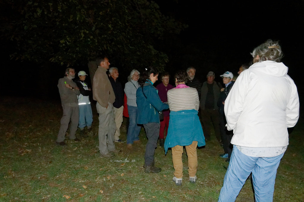 la nuit est bien  tombée