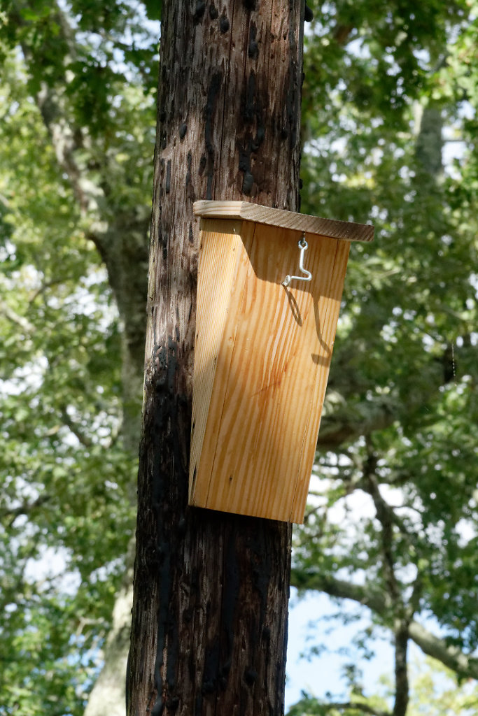 Nichoir à grimpereau