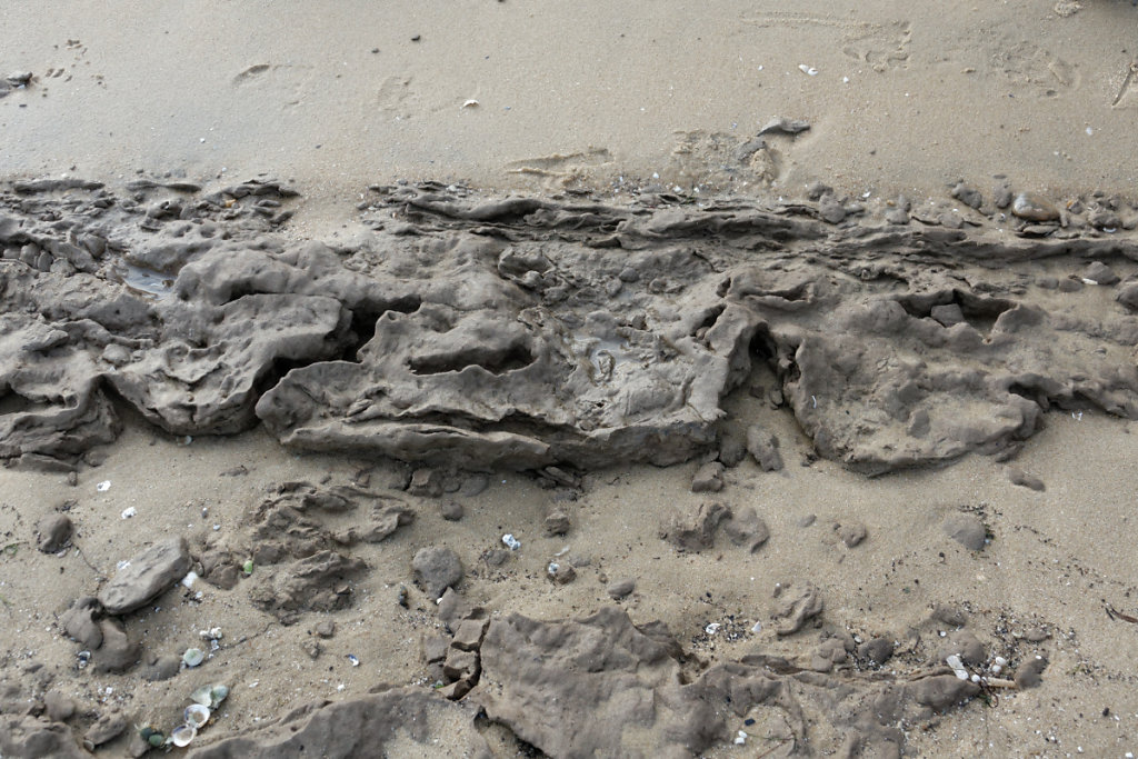 Vase d'un ancien marais