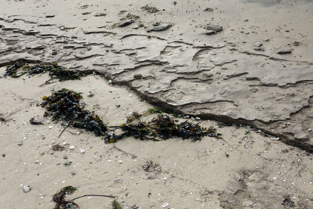 Vase d'un ancien marais