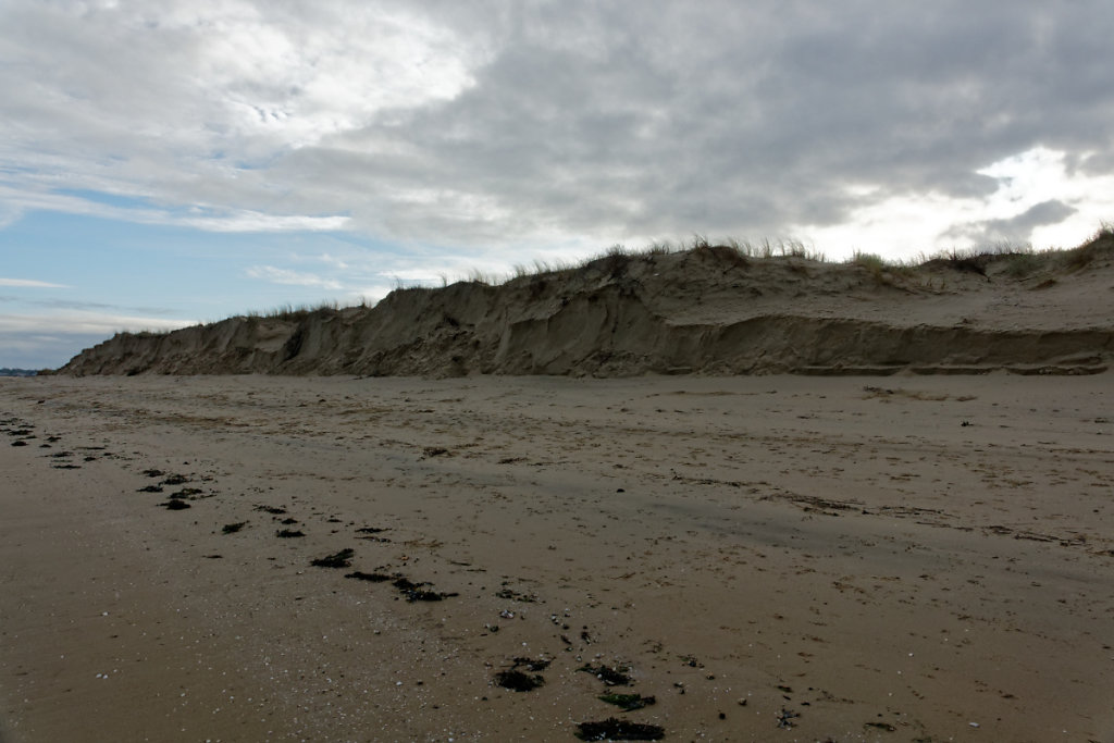 Erosion de la dune