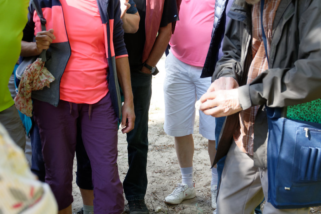 un caillou ramassé sur le chemin contient des fossiles