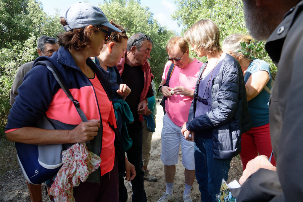 le socle calcaire n'est pas loin sous nos pieds