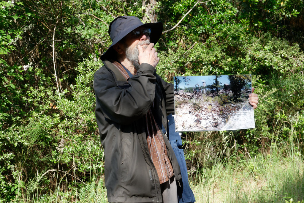 Après la tempête Martin,  des éboulis de calcaire apparaissent