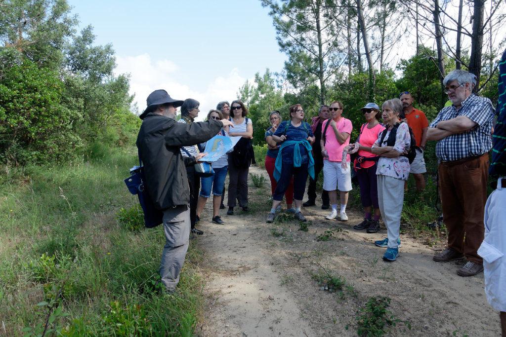 Un peu d'histoire, retour au moyen-âge
