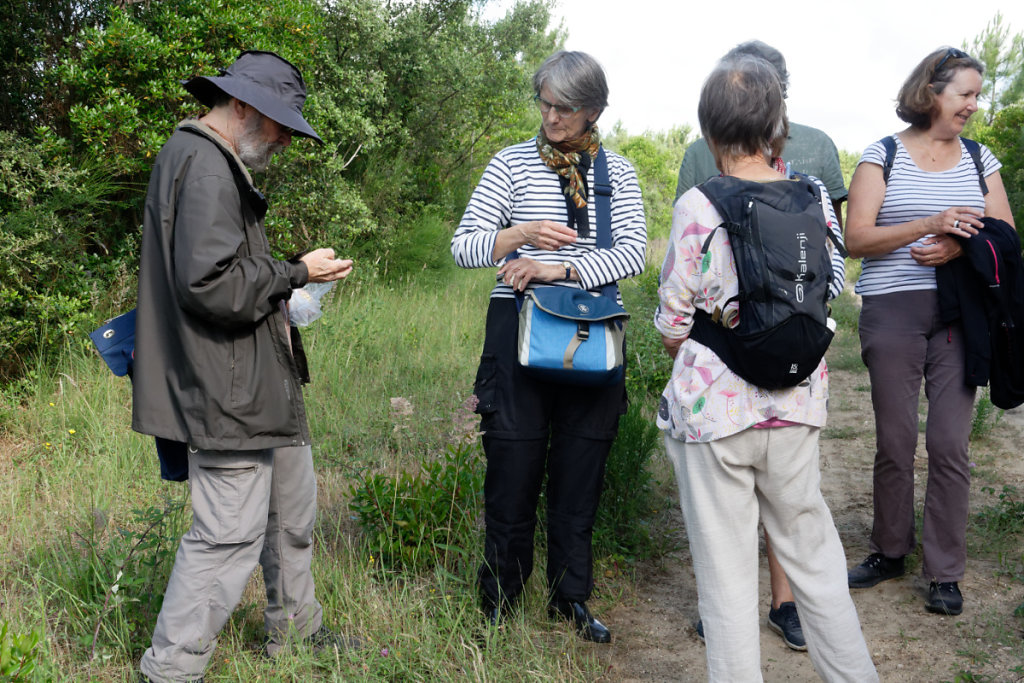 petite collection de fossiles trouvés ici par Guy