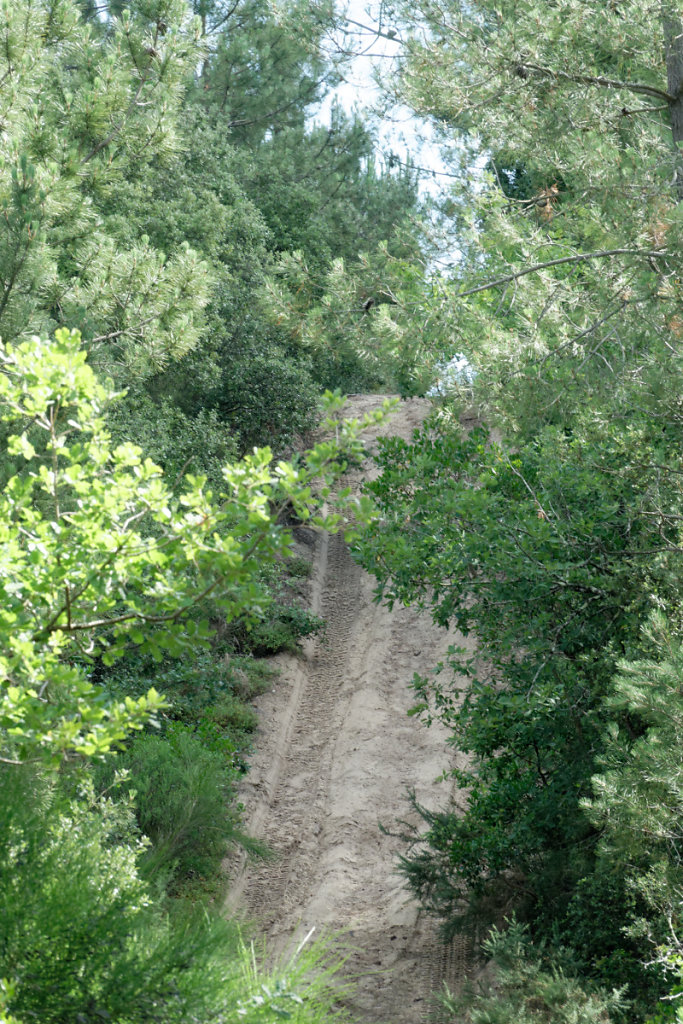 La dune "grosse madame" : qu'y a t-il sous le sable ?