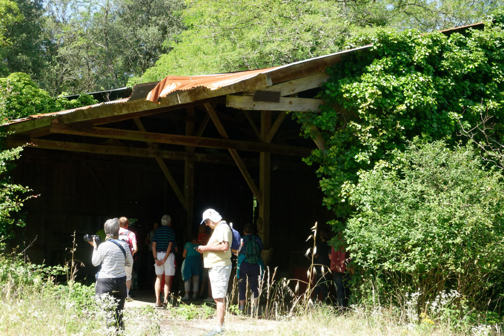 des restes des installations de l'ancien propriétaire : la famille Delmas