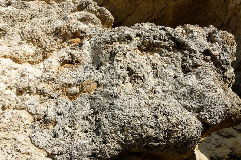 blocs de microbialites