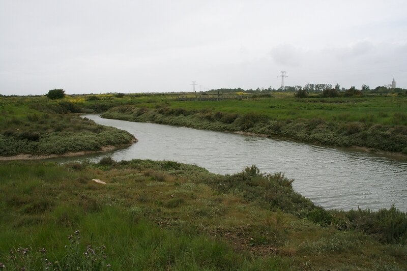 le Lindon liaison avec la Seudre