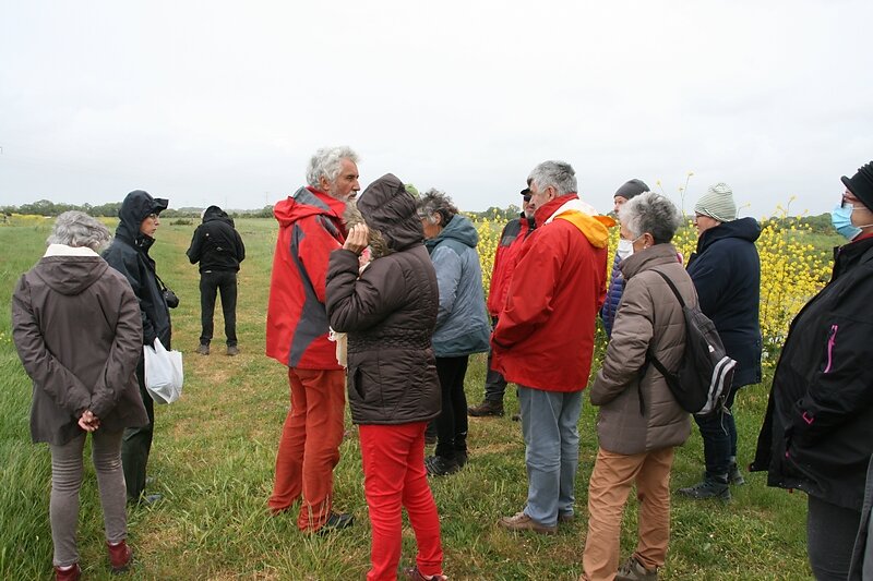 remembrement des 5000 Ha de parcelles