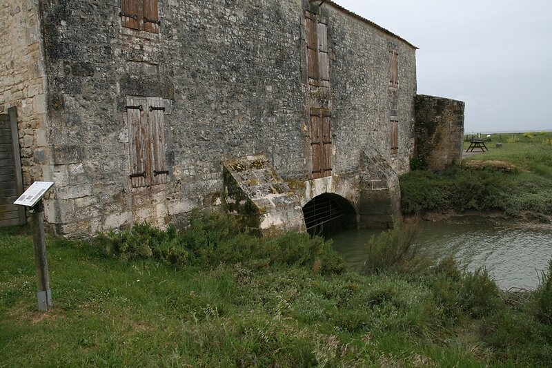 entrée et sortie de l'eau