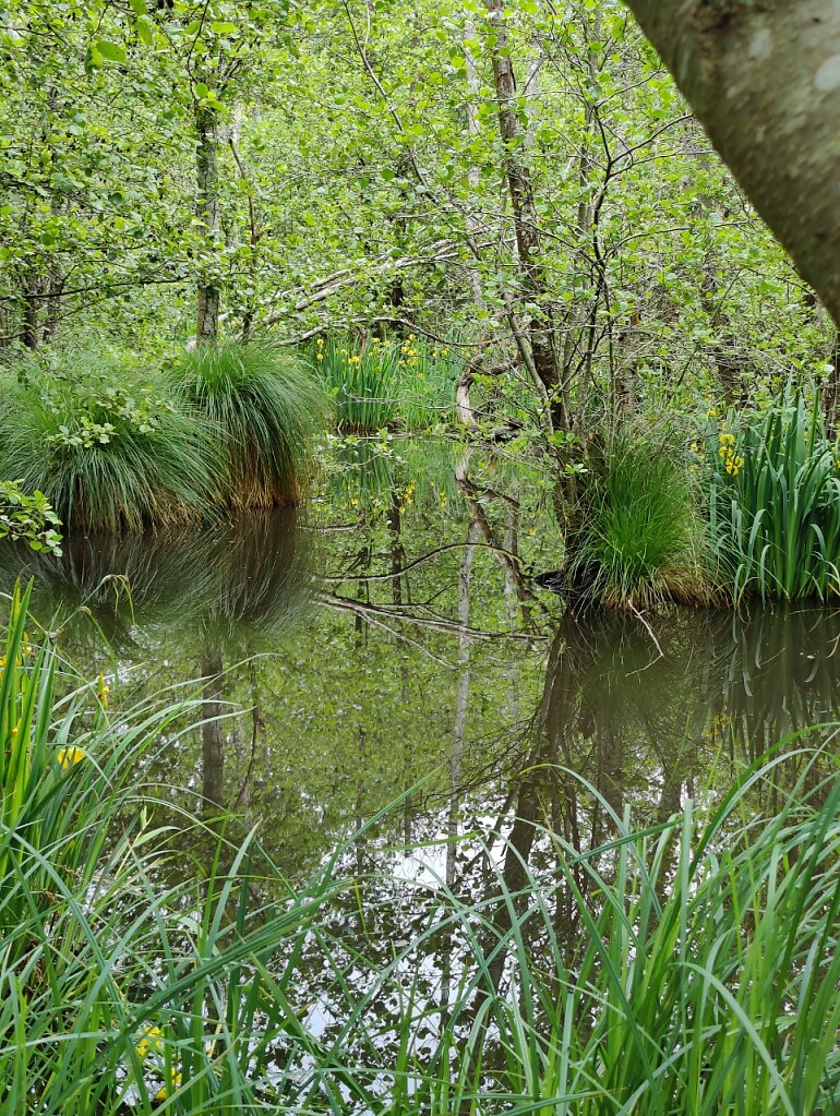 Sommes nous toujours en 17 ?