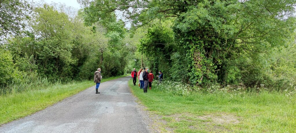 Le marais doux de Dirée