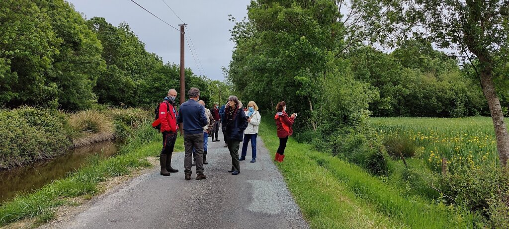 Le marais doux de Dirée