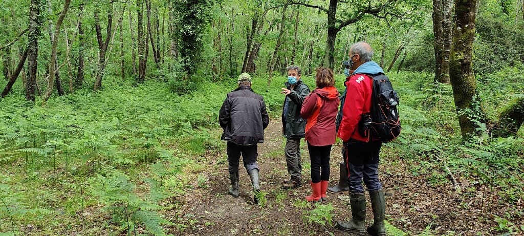 En route pour l'aulnaie du Monard